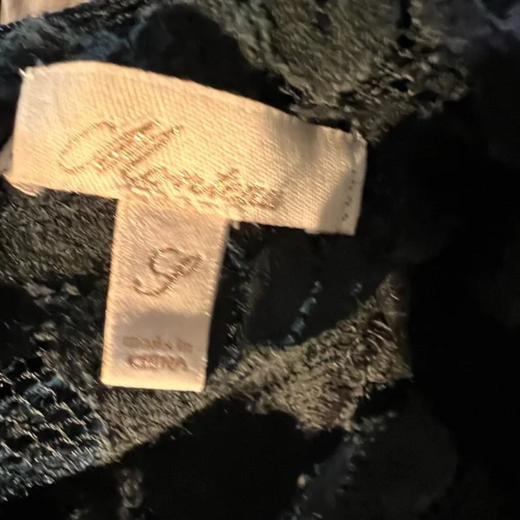 Monteau Lace style Dress with Lining - Picture 15 of 16